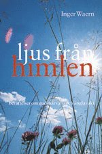 Inger Waern - Ljus från himlen : berättelser om gudsnärvaro och änglavakt, Inbunden