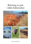 Br�nning av gr�s i �ldre fodermarker