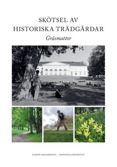 Klara Holmqvist - Skötsel av historiska trädgårdar : gräsmattor, Häftad. Tillgänglighet: Lägg i varukorg