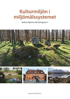 Kulturmiljön i miljömålssystemet : kulturmiljööversikt. Delrapport 1