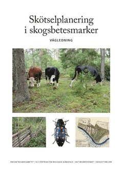 Skötselplanering i skogsbetesmarker : vägledning