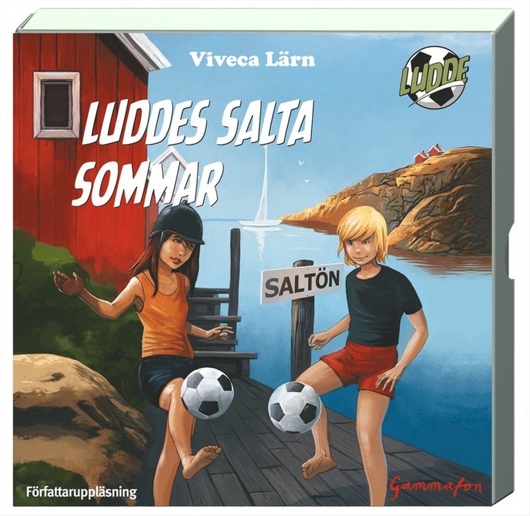Viveca Lärn - Luddes salta sommar, CD-bok