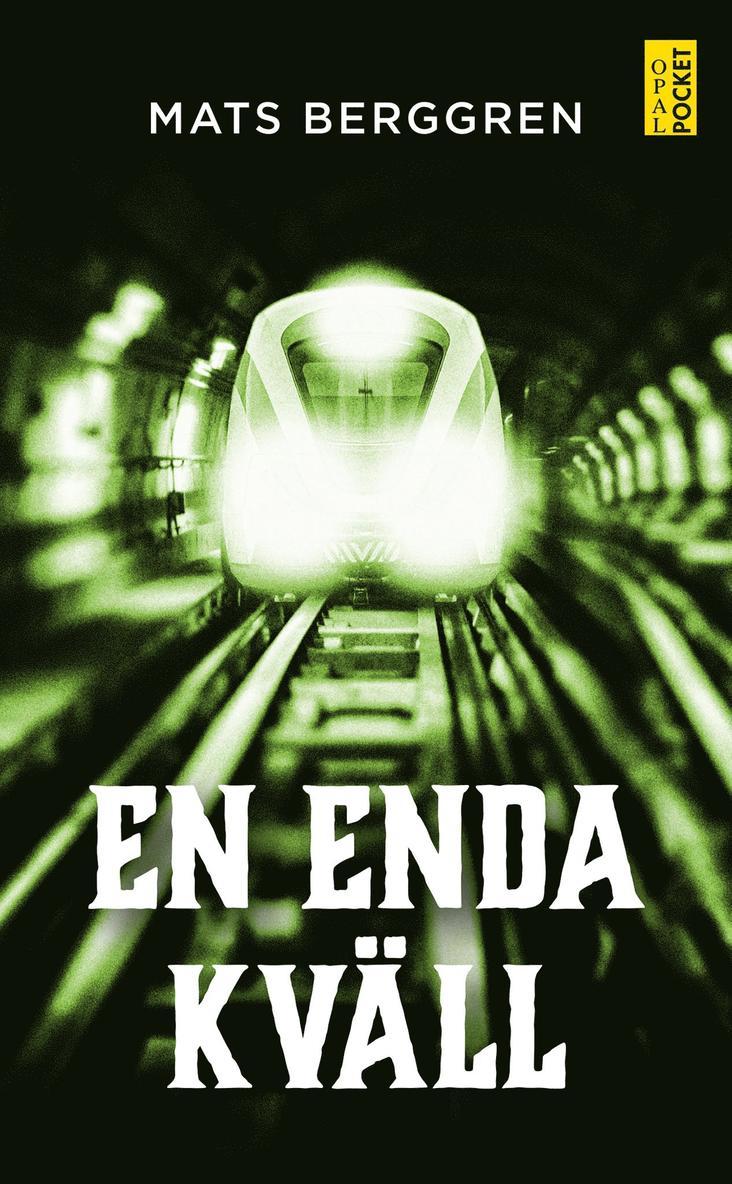 Mats Berggren - En enda kväll, E-bok