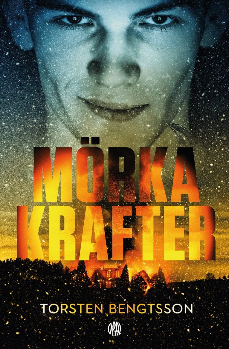 Torsten Bengtsson - Mörka krafter, Pocket. Tillgänglighet: Lägg i varukorg