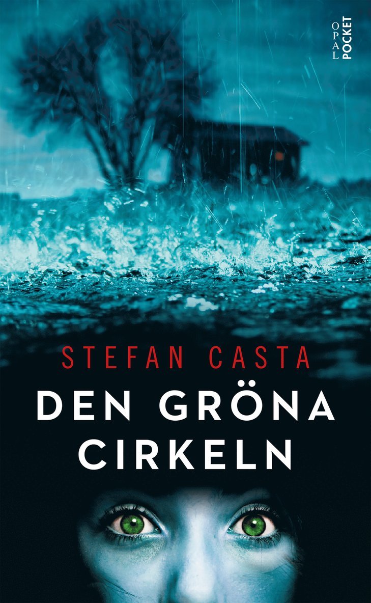 Stefan Casta - Den gröna cirkeln, E-bok