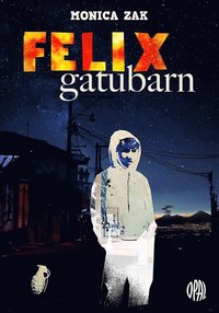 Felix gatubarn