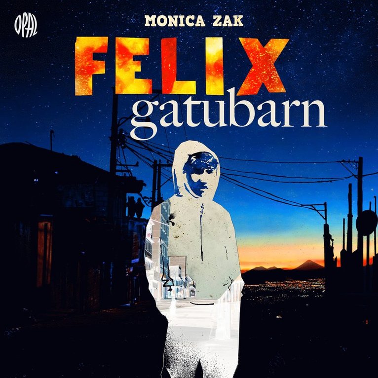 Monica Zak - Felix gatubarn, Ljudbok