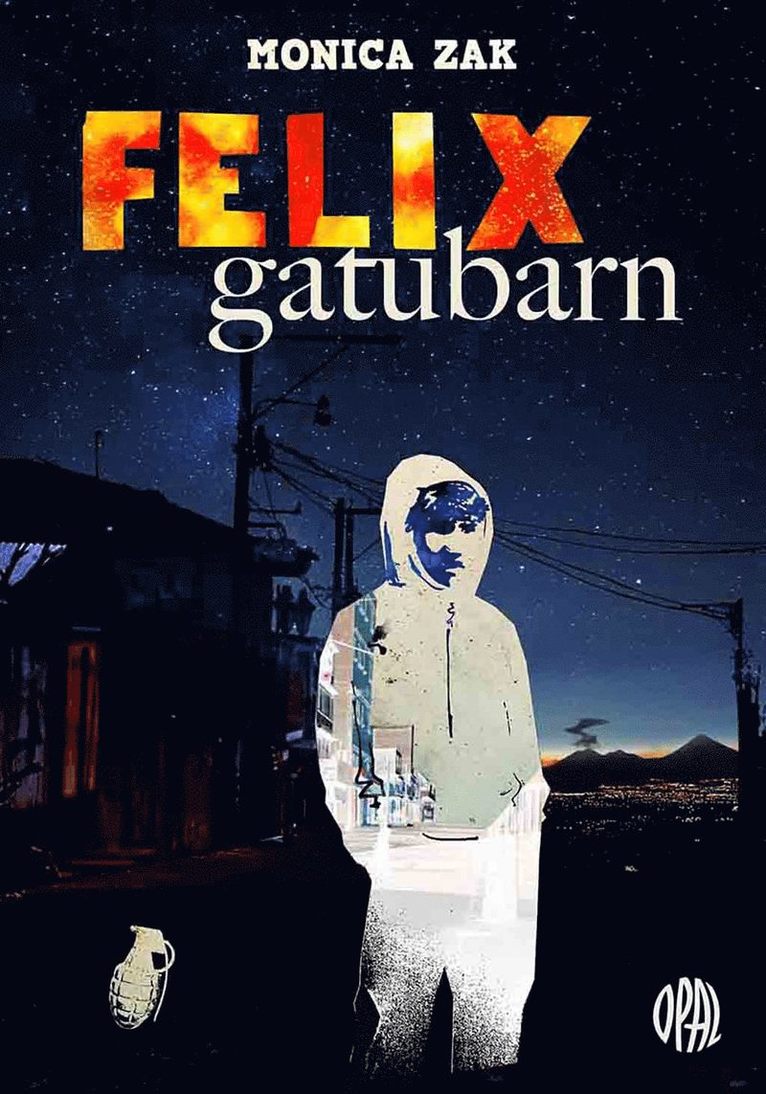Monica Zak - Felix gatubarn, E-bok