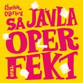 S jvla operfekt