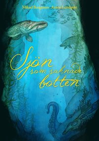Sjön som saknade botten