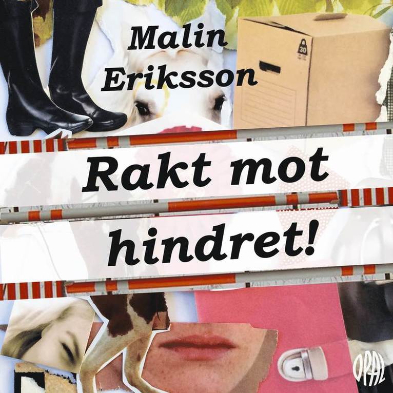 Malin Eriksson - Rakt mot hindret!, Ljudbok