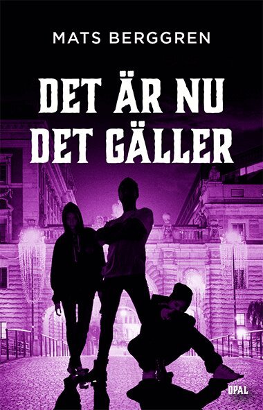 Mats Berggren - Det är nu det gäller, Inbunden
