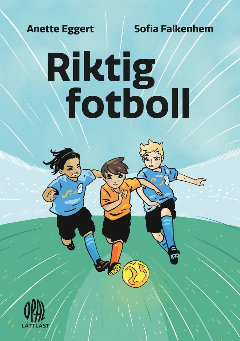 Anette Eggert - Riktig fotboll, E-bok