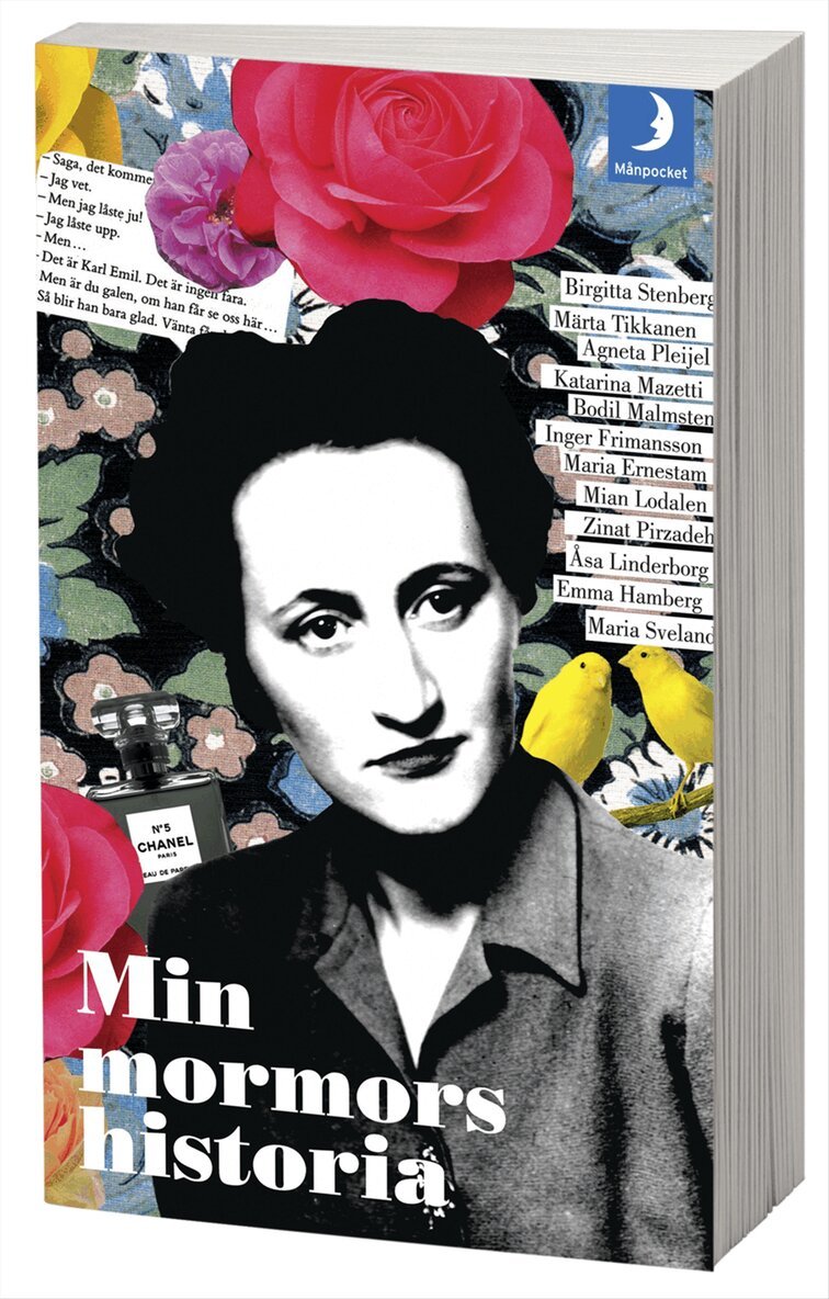 Birgitta Stenberg, Märta Tikkanen, Agneta Pleijel, Katarina Mazetti, Bodil Malmsten, Inger Frimansson, Maria Ernestam, Mian Lodalen, Zinat Pirzadeh, Åsa Linderborg, Emma Hamberg, Maria Sveland - Min mormors historia, Pocket