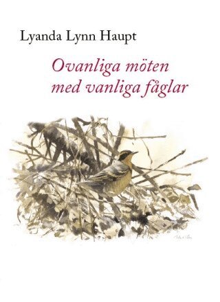 Lyanda Lynn Haupt - Ovanliga möten med vanliga fåglar, Inbunden