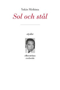 e-Bok Sol och stål