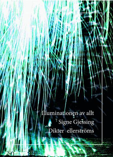 Signe Gjessing - Illuminationen av allt, Häftad