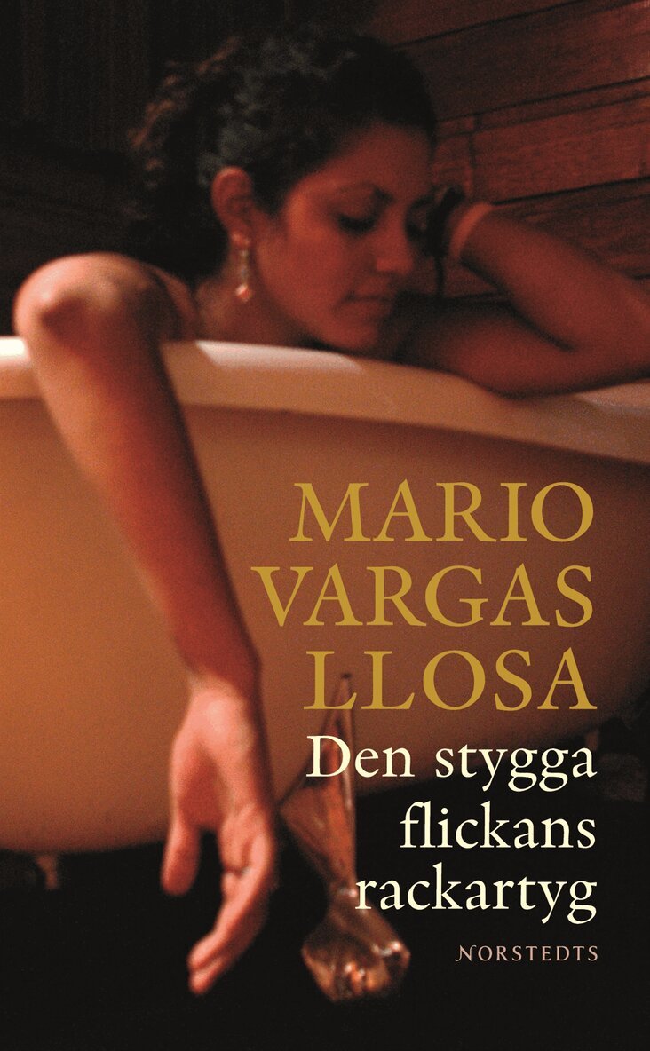 Mario Vargas Llosa - Den stygga flickans rackartyg, Pocket
