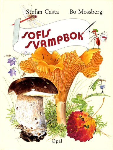 Stefan Casta - Sofis svampbok, Inbunden