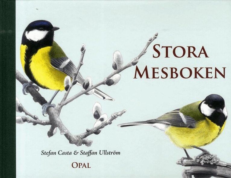Stefan Casta - Stora mesboken, Inbunden