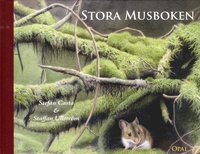 Stora musboken