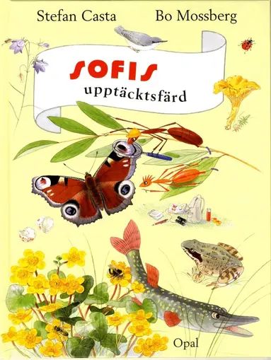 Stefan Casta - Sofis upptäcktsfärd, Inbunden