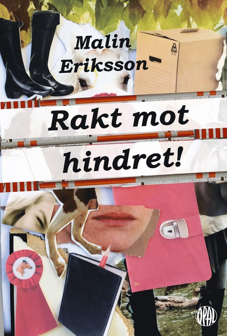 Malin Eriksson - Rakt mot hindret!, E-bok