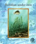 Bubblan under isen