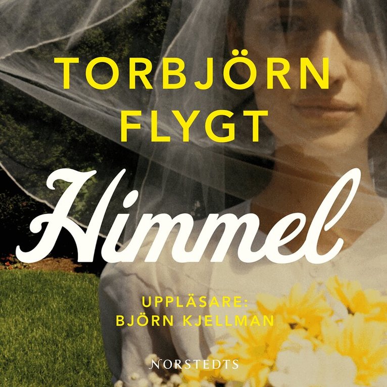 Torbjörn Flygt - Himmel, Ljudbok