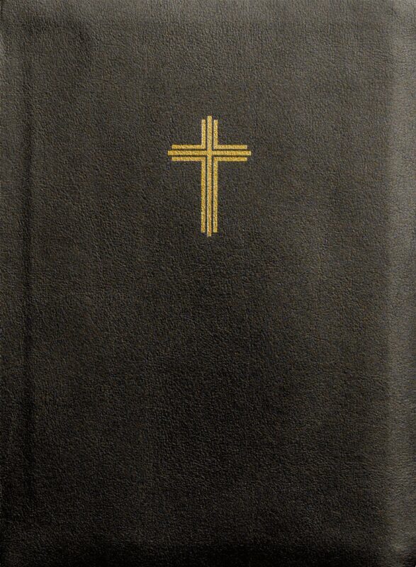 Bibel 2026 (svart) konstskinn med noter, Inbunden