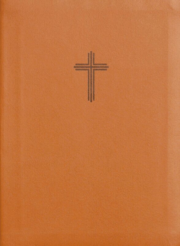 Bibel 2026 (honung) - konstskinn utan noter, Inbunden