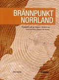 Brnnpunkt Norrland : perspektiv p en region i frndring