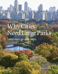 Why cities need large parks : large parks in large cities