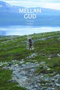 Mellan Gud : vandring i andliga landskap