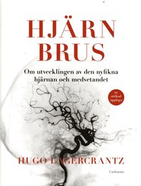 Hjrnbrus : om utvecklingen av den nyfikna hjrnan och medvetandet
