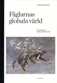 Fglarnas globala vrld : nya rn och gammal kunskap