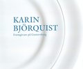 Karin Bj�rquist : formgivare p� Gustavsberg 1950-1995 - atelj�n som f�rsvann, en bildber�ttelse