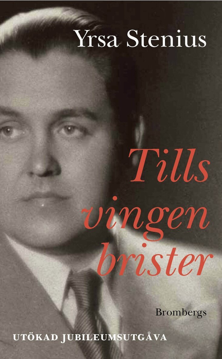 Yrsa Stenius - Tills vingen brister, E-bok