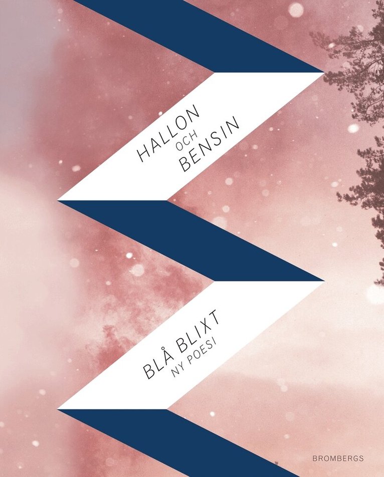 Antologi - Hallon och bensin, E-bok