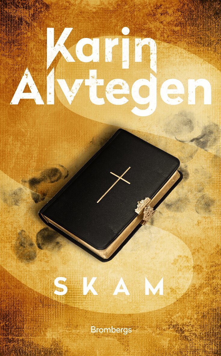 Karin Alvtegen - Skam, E-bok