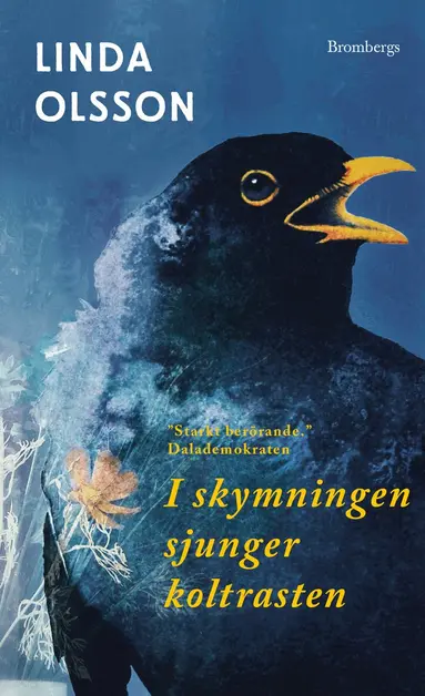Linda Olsson - I skymningen sjunger koltrasten, Ljudbok
