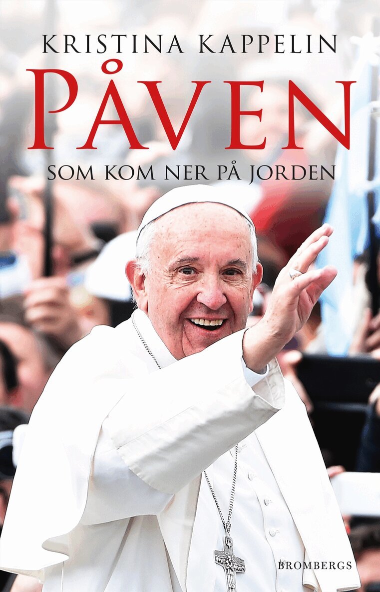 Kristina Kappelin - Påven som kom ner på jorden, E-bok