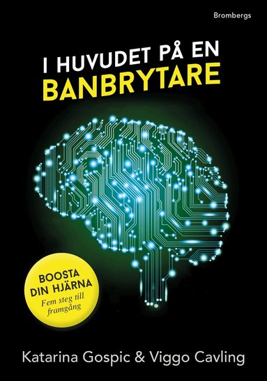 Katarina Gospic, Viggo Cavling - I huvudet på en banbrytare, E-bok