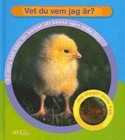 e-Bok Vet du vem jag är?