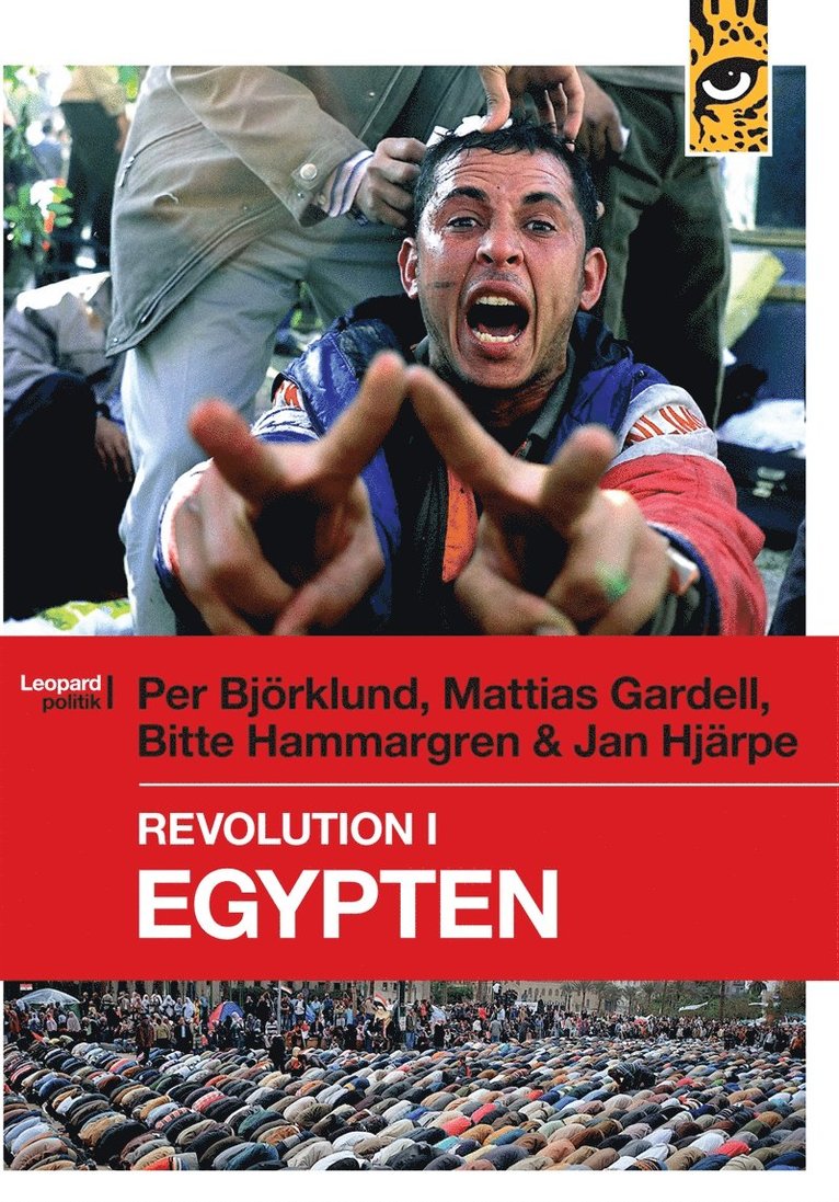 Mattias Gardell, Jan Hjärpe, Per Björklund, Bitte Hammargren - Revolution i Egypten, E-bok