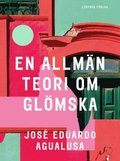 En allmän teori om glömska