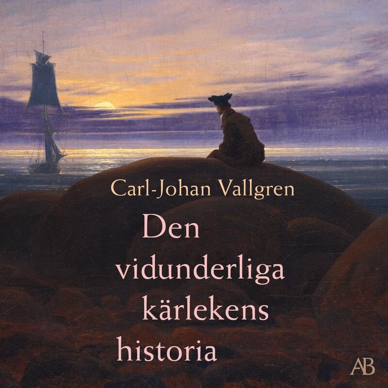 Carl-Johan Vallgren - Den vidunderliga kärlekens historia, Ljudbok
