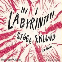 e-Bok In i labyrinten <br />                        Ljudbok