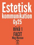 Estetisk kommunikation - Facit (Gy25)