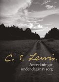 Anteckningar under dagar av sorg